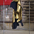 20110619062235-the_slaughtered_ox_04_a