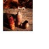 20110619132935-earth_tones_pg_4