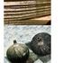 20110619135751-earth_tones_pg_14