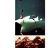 20110619140516-earth_tones_pg_16