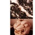 20110619140624-earth_tones_pg_17