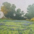 20110620170853-lupinefieldinmorningmist_18x24_oil_canvas
