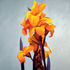 20110620173609-orange_canas_14x18_acr