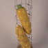 20110621181239-6_catherine_securedownload