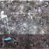 20110621230421-don_t_follow_me__i_am_lost_too