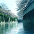20110622082919-shinjuku-ku_waseda_outak_bridge2008