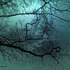 20110623015320-blue_danube
