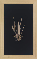 Citizen Void #1,Conrad Freiburg