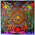 20110623070129-blacklight_017