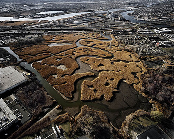 Jerseymeadowlands