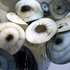 20110106213410-mixedblessings-_julie_postcard