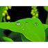 20110727064531-tiny_worlds_01