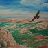 20110625105446-soaring_hawk