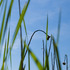 20110625120132-skeleton03_1