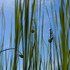 20110625120532-skeleton03