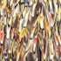 Showered_detail2_lores_fox