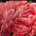 20110626102910-honeysuckle_pink_peonies_24_x_30_oil_on_linen