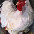 20110626103015-chicken