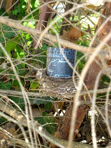 20110627181504-epicentro_print_offering5