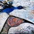 20110627223733-bird_on_bird_large