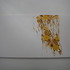 20110628095803-dscn2177