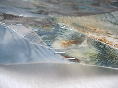 20110628100435-with_tethys_lrdetail2