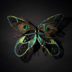 Mariposa Peacock,Yuko Ueno