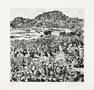 20110628140120-skurfbergbykentridge