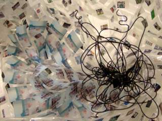 of forests and forensics,Leslie Alfin