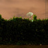 20110628173623-_d6j5528