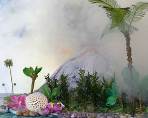 A Volcano Millions of Years Ago, a Rock With Eensy-Beensie Holes,Mary Anne Kluth