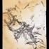 20110629194143-splinter