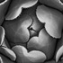 20110630000528-beato_suc_detail