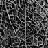 20110630001203-decay_ii_low_res