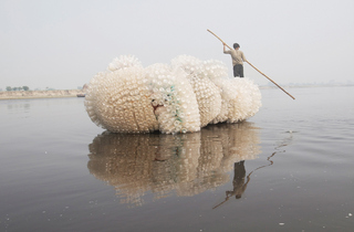 Indra’s Cloud,Anne Percoco