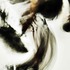 20110630043748-nicolas_129
