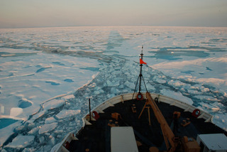 Ice Breaker,Adriane Colburn