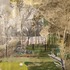20110630134454-field_study_ii_detail