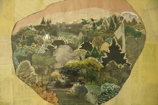 Field Study,Anne Percoco