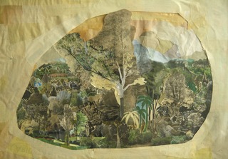 Field Study,Anne Percoco