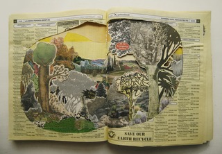 Field Study (book),Anne Percoco