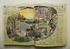 20110630134943-field_study_vi