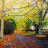 20110630160516-fall_in_spring_wood