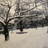 20110630162941-winters_blanket