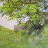20110701042715-summer