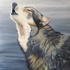 20110701101605-wolf