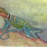 20110701121502-eastern_collared_liz