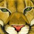 20110701121754-panther_clan
