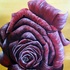 20110701125507-crimson_rose