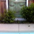 20110701150629-oais_budda